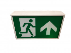 Exit Signs image