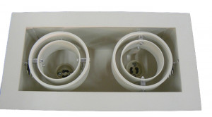 sq06fgw: Double Swivel Recessed Downlighter