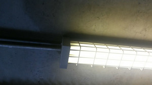 Fluorescent Cage Fitting (Down Only)