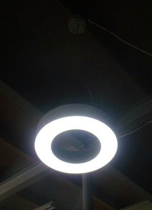 LED Halo Pendant
